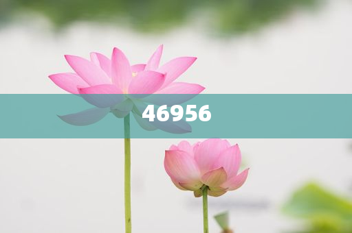 新奧集團，邁向2025，天天開好彩的愿景與挑戰(zhàn)，新奧集團邁向2025，實現(xiàn)天天開好彩的愿景與挑戰(zhàn)