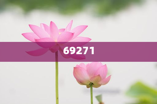 澳門 第15頁