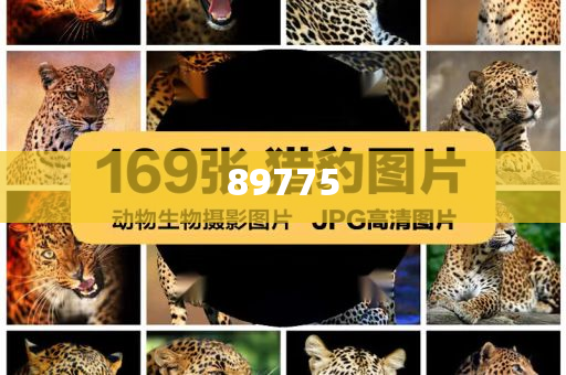 關(guān)于新奧歷史開獎(jiǎng)記錄的最新信息，今天公布了嗎？，新奧歷史開獎(jiǎng)記錄最新信息公布了嗎？