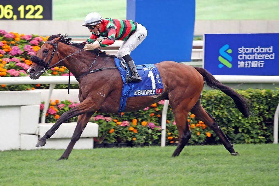 香港馬賽事，探索數(shù)字背后的激情與榮耀 7777788888，香港馬賽事，數(shù)字背后的激情與榮耀