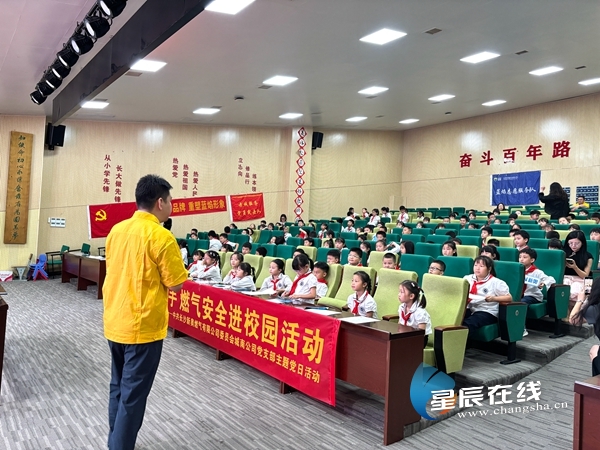 新奧49正版資料，探索與解析，新奧49正版資料深度探索與解析