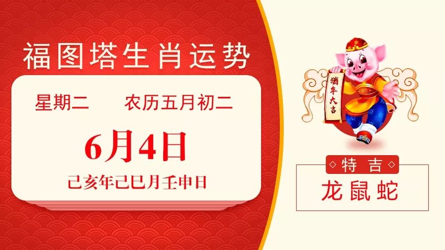新澳特碼，羊?；⒏鲾?shù)10的獨(dú)特魅力與解析，新澳特碼，羊?；⒏鲾?shù)10的獨(dú)特魅力深度解析