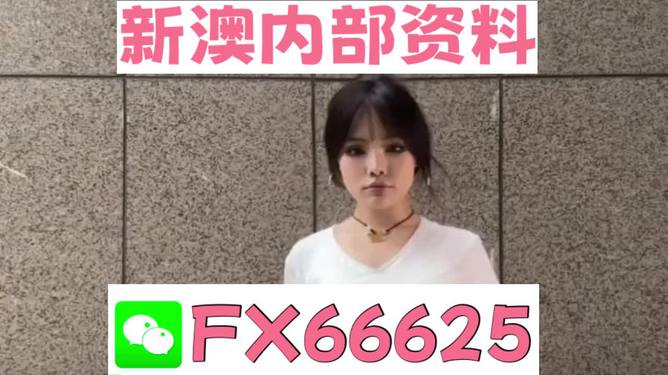 澳門資料大全正版資料查詢，探索澳門的文化與歷史深度之旅，澳門文化與歷史深度探索，正版資料大全及查詢指南