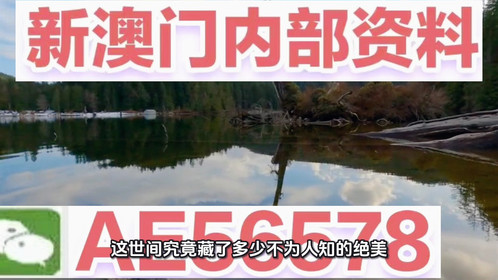 新澳門精準免費大全（或澳門精準免費大全）