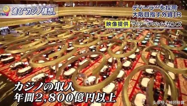 新澳門彩生肖走勢圖，深度解析與預(yù)測，澳門彩生肖走勢圖深度解析及預(yù)測報告