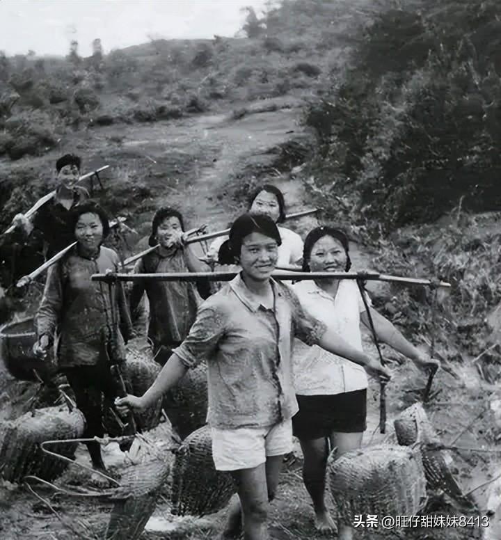 關(guān)于49圖庫圖片資料，豐富資源一網(wǎng)打盡，49圖庫，圖片資源豐富，一網(wǎng)打盡！