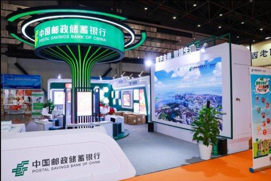 探索未來的澳門，2025年澳門天天展望，澳門未來展望，探索之路與2025年展望