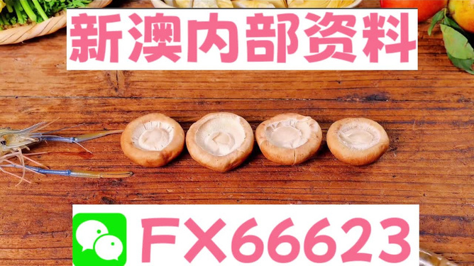 新澳正版資料免費提供，全面解析與獲取指南，新澳正版資料全面解析與獲取指南，免費提供的指南