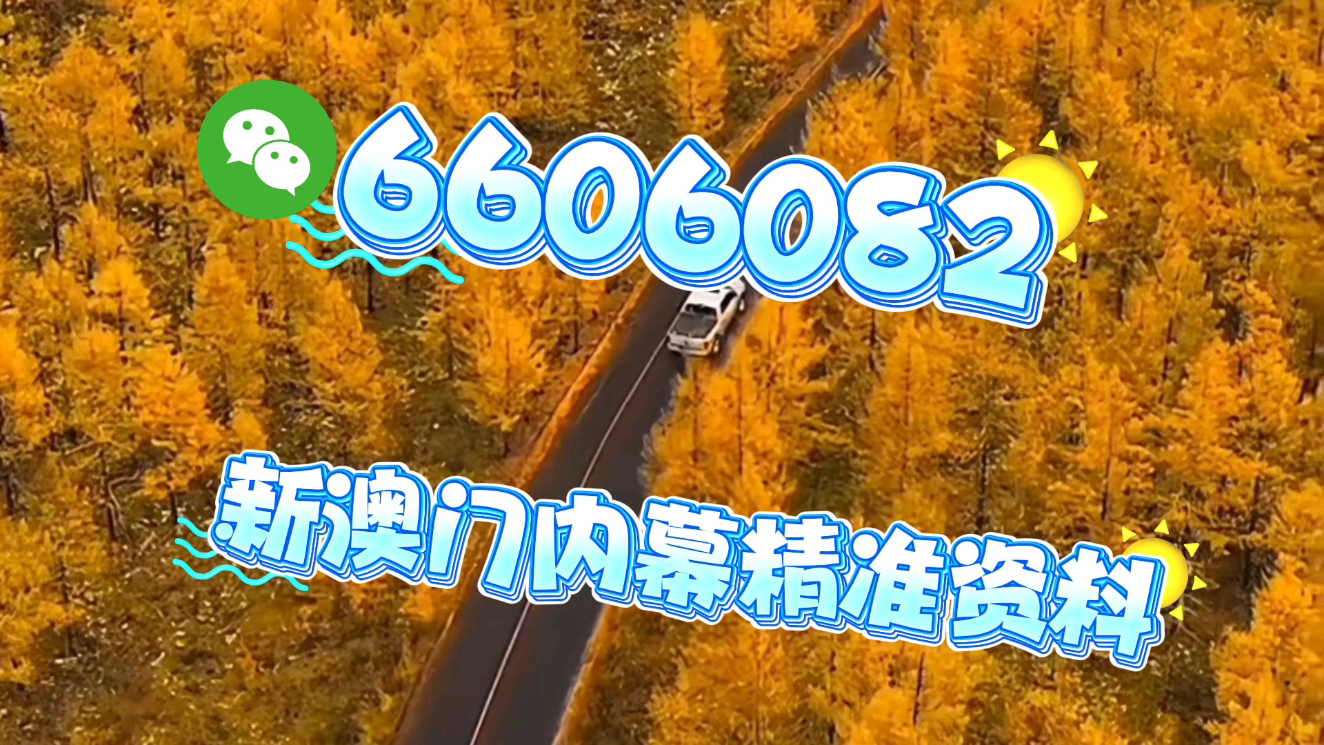 新澳門一肖一碼中恃馬，探索與解析，澳門一肖一碼中恃馬，探索與解析
