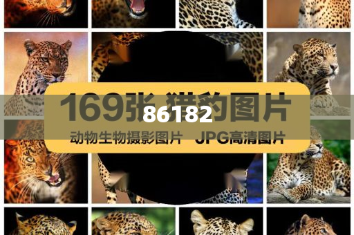 新奧精準(zhǔn)免費(fèi)提供港澳彩