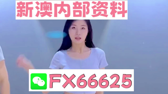 新澳門精準(zhǔn)資料大全——管家婆料解析與探索，澳門精準(zhǔn)資料大全，管家婆料解析與深度探索