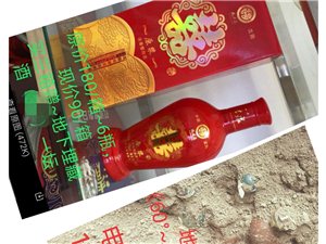王中王一肖論一壇，深度探討與SEO優(yōu)化策略，王中王一肖論壇，深度探討與SEO優(yōu)化策略分享
