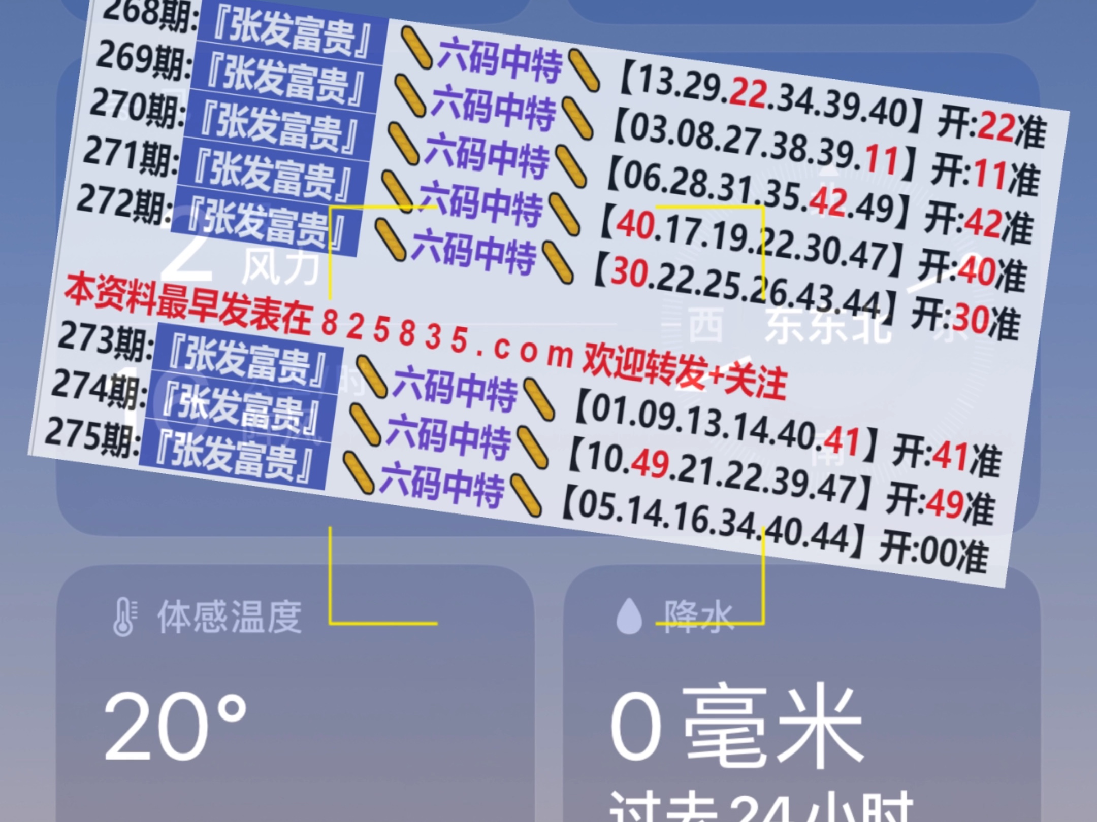 新澳門(mén)開(kāi)獎(jiǎng)記錄，探索與解析，新澳門(mén)開(kāi)獎(jiǎng)記錄深度解析與探索