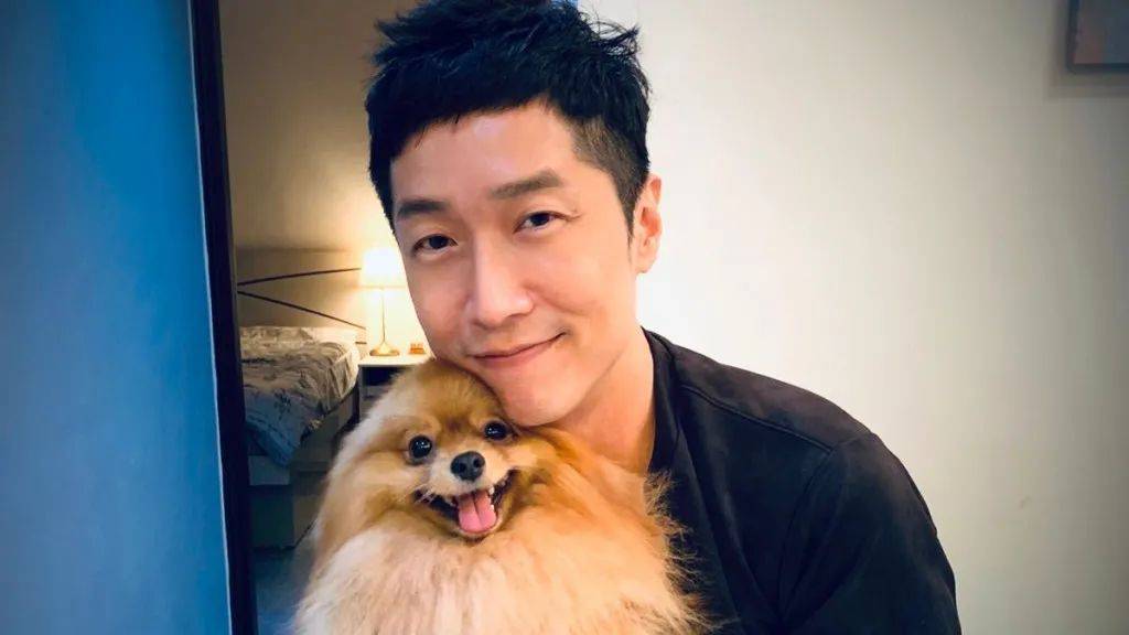 香港四不像劉伯溫必中一肖——揭秘彩票背后的秘密，揭秘彩票背后的秘密，劉伯溫四不像預(yù)測與香港必中生肖彩票解析