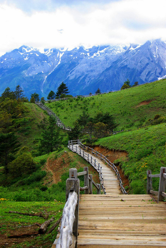 玉龍雪山門票免費政策詳解，玉龍雪山門票免費政策全面解析