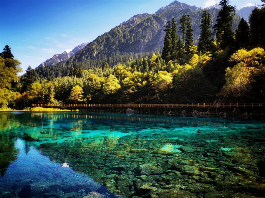 阿壩旅游網(wǎng)，探索九寨溝門票的最佳選擇，阿壩旅游網(wǎng)，探索九寨溝門票的最佳平臺(tái)