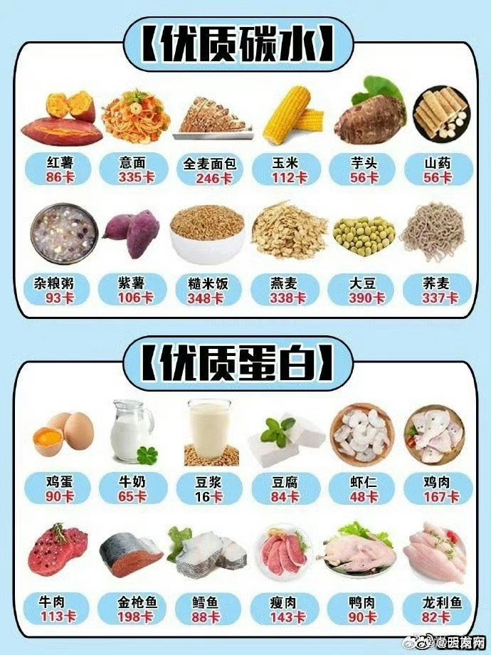 各種食物熱量表大全，健康飲食的必備指南，食物熱量表全面解析，健康飲食的必備指南