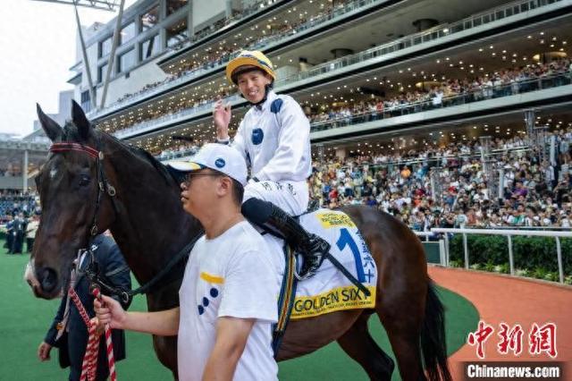 香港特馬王資料免費公開，深度解析與探索，香港特馬王資料深度解析與探索，免費公開揭秘