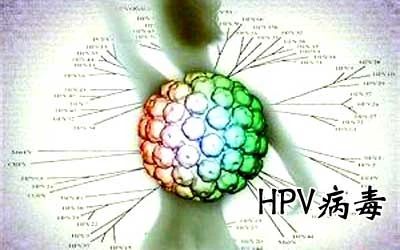 HPV病毒能否徹底清除？深度解析與應(yīng)對(duì)策略，深度解析HPV病毒能否徹底清除，應(yīng)對(duì)策略及應(yīng)對(duì)方法