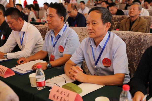 新奧精準選免費提供，探索最佳選擇與無限可能，新奧精準選，免費探索最佳選擇與無限可能