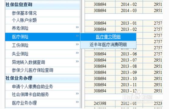 澳門歷史記錄查詢