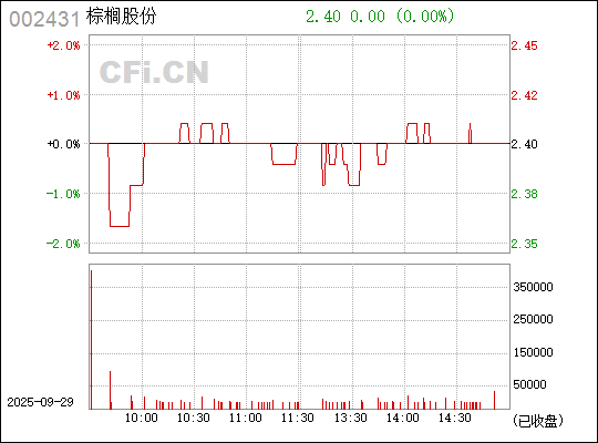探索棕櫚股份股吧，深度解析與前景展望（股票代碼，002431），棕櫚股份深度解析與前景展望，股票代碼002431