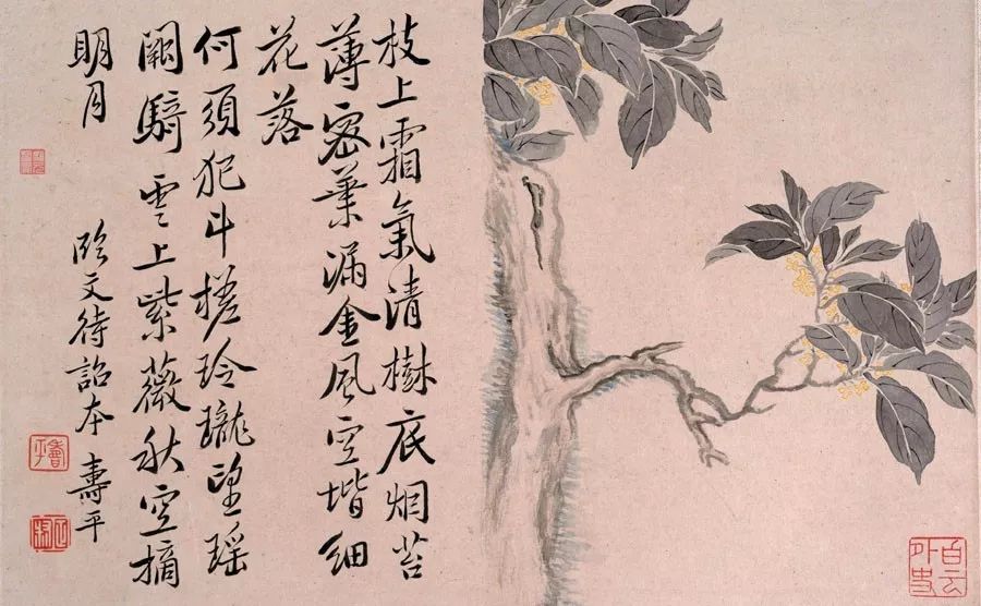 世外挑園，揭秘劉伯溫一肖的神秘魅力，揭秘劉伯溫一肖的神秘魅力，世外挑園之旅
