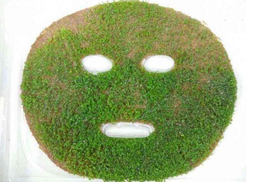 海藻面膜可以天天敷嗎？——深度解析海藻面膜的使用頻率與注意事項(xiàng)，海藻面膜的使用頻率與注意事項(xiàng)解析，能否天天敷海藻面膜？