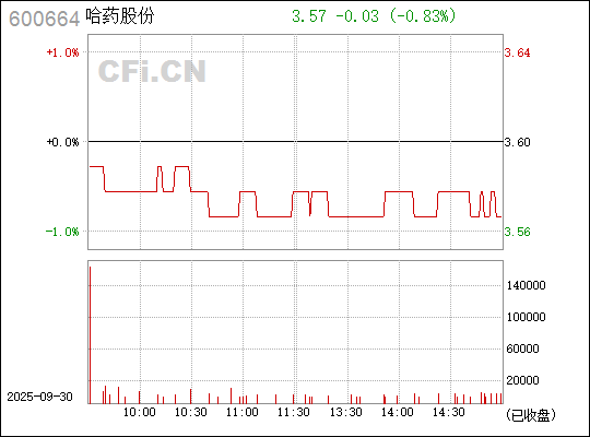 探索數(shù)字世界中的寶藏，揭秘股票代碼600664背后的故事，揭秘?cái)?shù)字寶藏，股票代碼600664背后的故事探索
