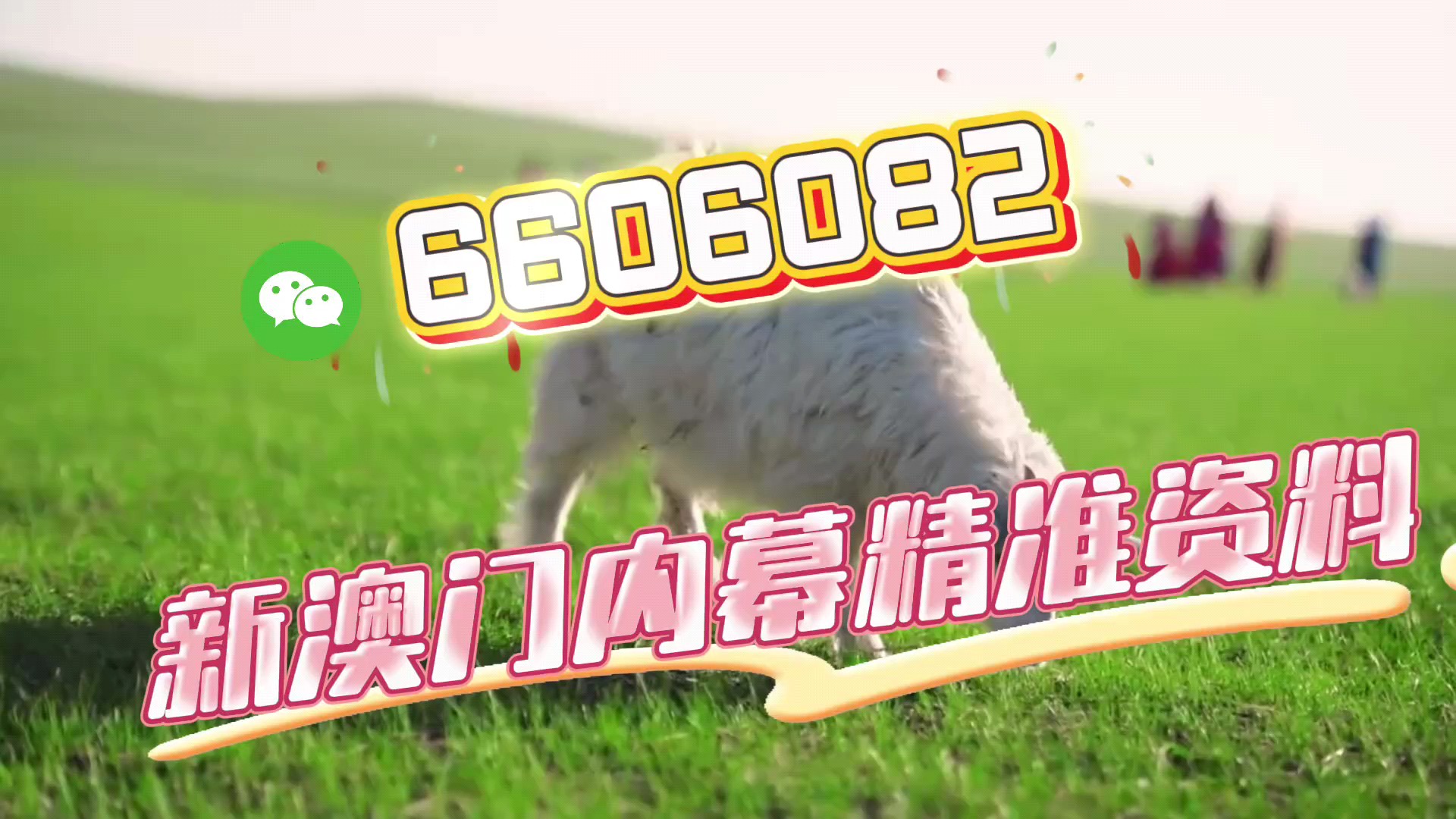 澳門今晚必開一肖一特，揭秘生肖彩票的魅力與預(yù)測技巧，澳門生肖彩票預(yù)測揭秘，一肖一特魅力與預(yù)測技巧探討