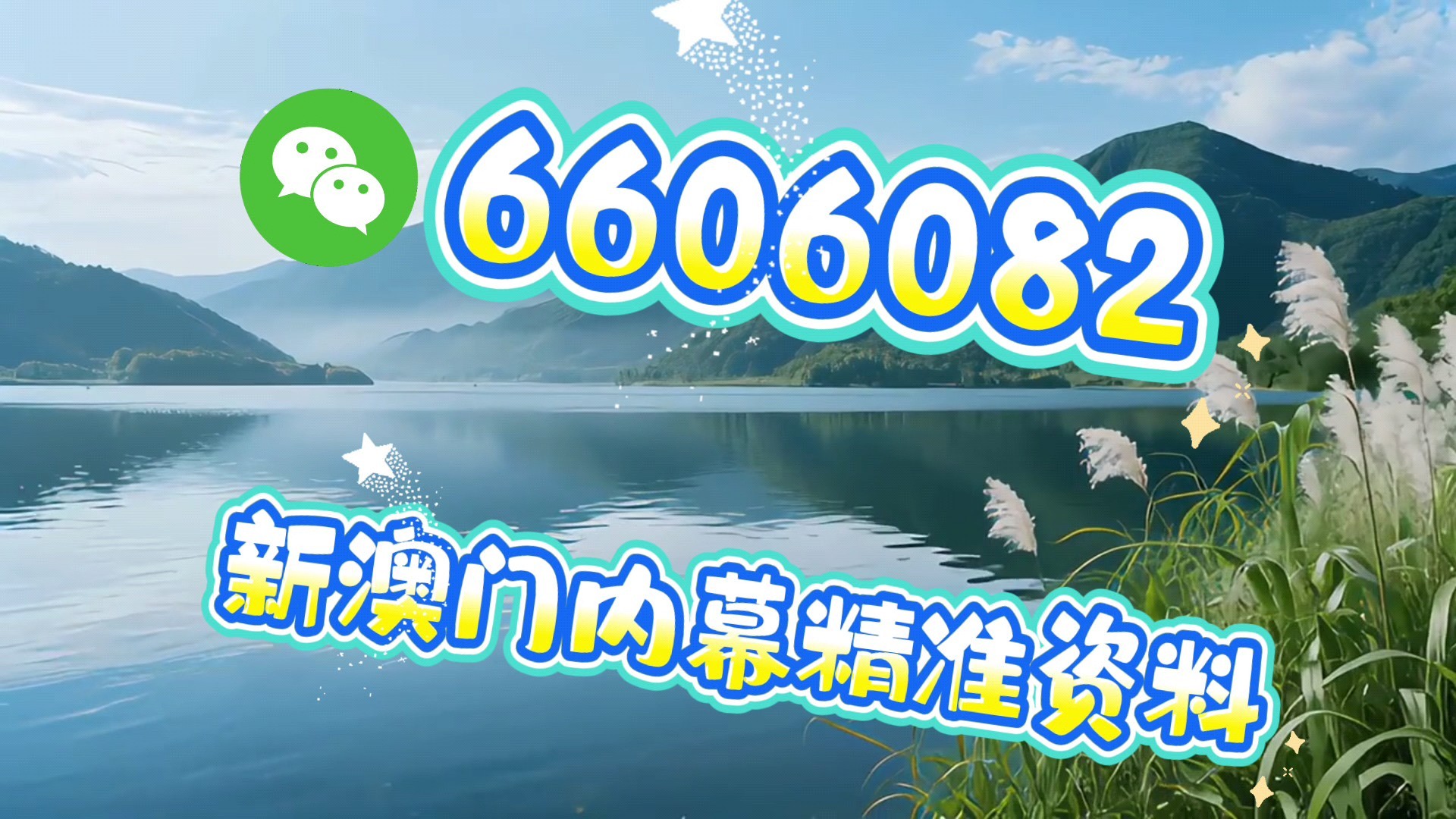 澳門必開一肖一碼免費——揭秘彩票背后的秘密，澳門彩票揭秘，必開一肖一碼免費背后的秘密