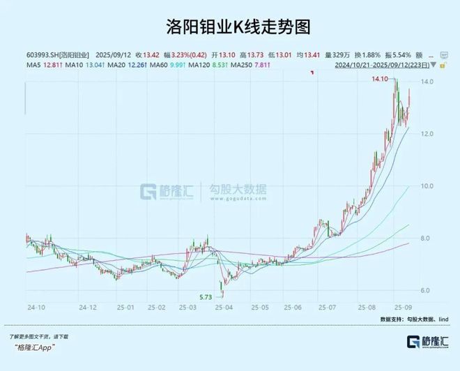 洛陽(yáng)鉬業(yè)股票今日股價(jià)分析與展望，洛陽(yáng)鉬業(yè)股票今日行情分析與展望
