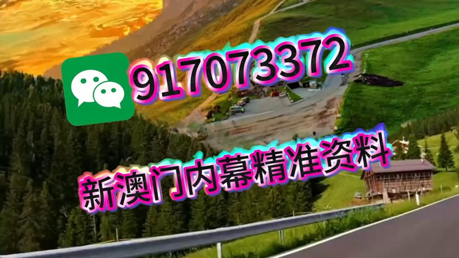 王中王一肖一中特，深度解析與SEO優(yōu)化策略，王中王一肖一中特深度解析與SEO優(yōu)化策略探討