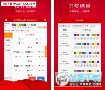 王中王三肖必出一肖，深度解析與探索，王中王三肖必出一肖，深度解析與探索揭秘