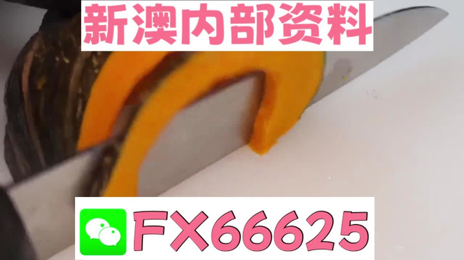 澳門管家婆，揭秘精準預測的秘密武器，澳門管家婆揭秘，精準預測的秘密武器全解析