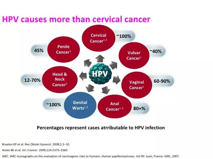 HPV52陽性可以自愈嗎？詳解HPV感染與身體康復之路，HPV52陽性能否自愈？HPV感染與身體康復的詳解之路