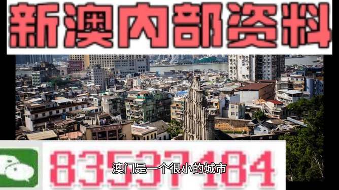 新澳門精準四肖期準，探索背后的秘密與策略，澳門精準四肖期背后的秘密與策略探索