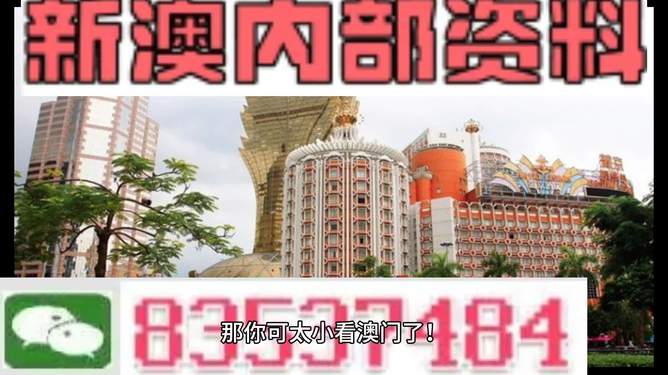 新澳新澳門正版資料，探索與解析，新澳新澳門正版資料深度解析與探索