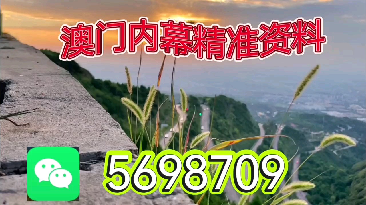 新澳天天開彩資料大全，探索彩票世界的奧秘，探索彩票世界奧秘，新澳天天開彩資料大全