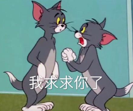 湯姆貓股票股吧，投資熱點與前景展望，湯姆貓股票股吧，投資熱點與未來前景展望