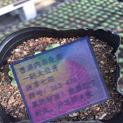 關(guān)于三肖賠多少錢的全面解析，三肖賠款金額全面解析