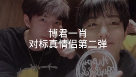 一肖拖一肖二中二有幾組——深度解析與探索，深度解析與探索，一肖拖一肖二中二有多少組組合？